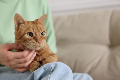 Photo of Woman with her cute ginger cat on sofa at home, closeup. Space for text