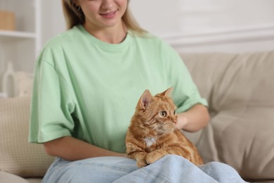 Photo of Woman with her cute ginger cat on sofa at home, closeup