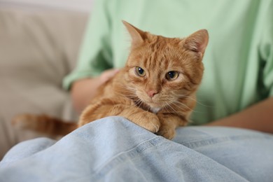 Photo of Woman with her cute ginger cat at home, closeup