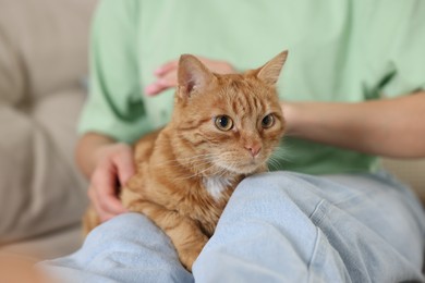 Photo of Woman with her cute ginger cat on sofa at home, closeup