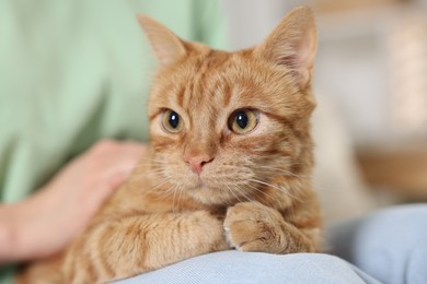 Photo of Woman with her cute ginger cat at home, closeup