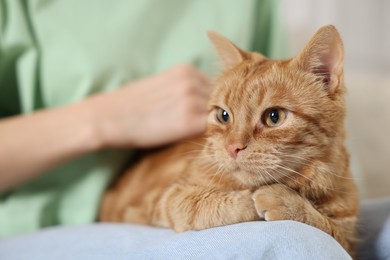 Photo of Woman with her cute ginger cat at home, closeup