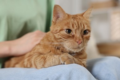 Photo of Woman with her cute ginger cat at home, closeup