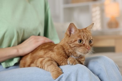 Photo of Woman with her cute ginger cat at home, closeup