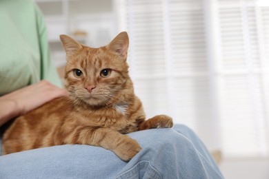 Photo of Woman with her cute ginger cat at home, closeup. Space for text