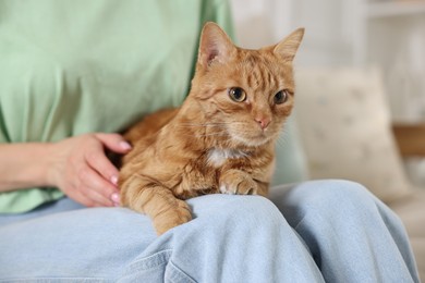 Photo of Woman stroking cute ginger cat at home, closeup