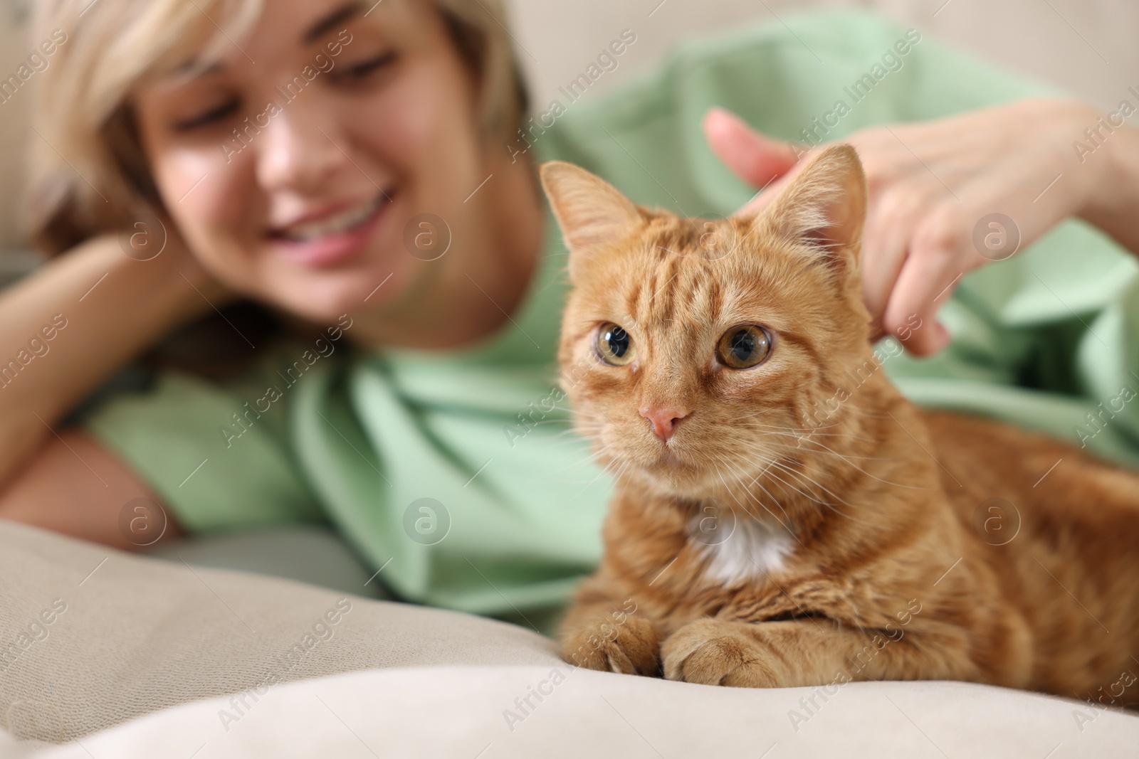 Photo of Woman stroking cute ginger cat on sofa at home, selective focus