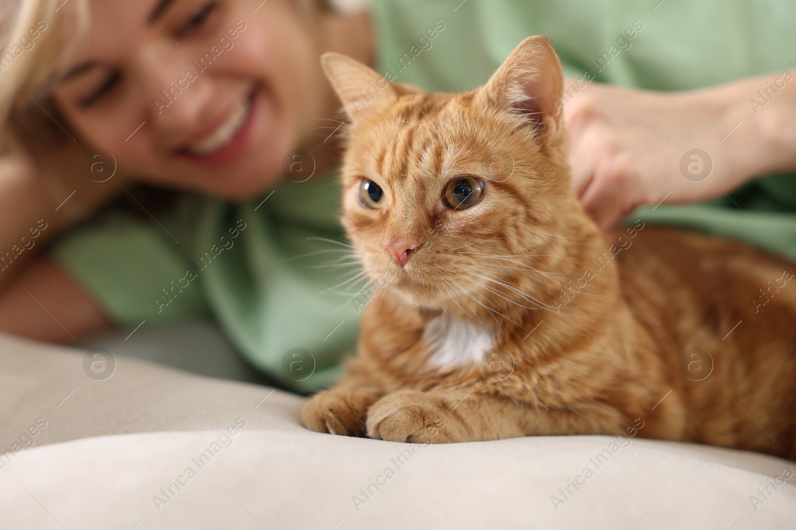 Photo of Woman stroking cute ginger cat on sofa at home, selective focus