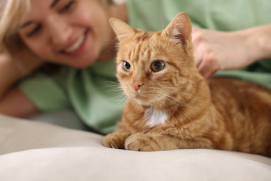 Photo of Woman stroking cute ginger cat on sofa at home, selective focus