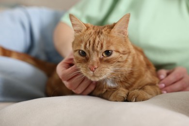 Photo of Woman with her cute ginger cat on sofa at home, closeup