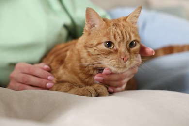 Photo of Woman with her cute ginger cat on sofa at home, closeup