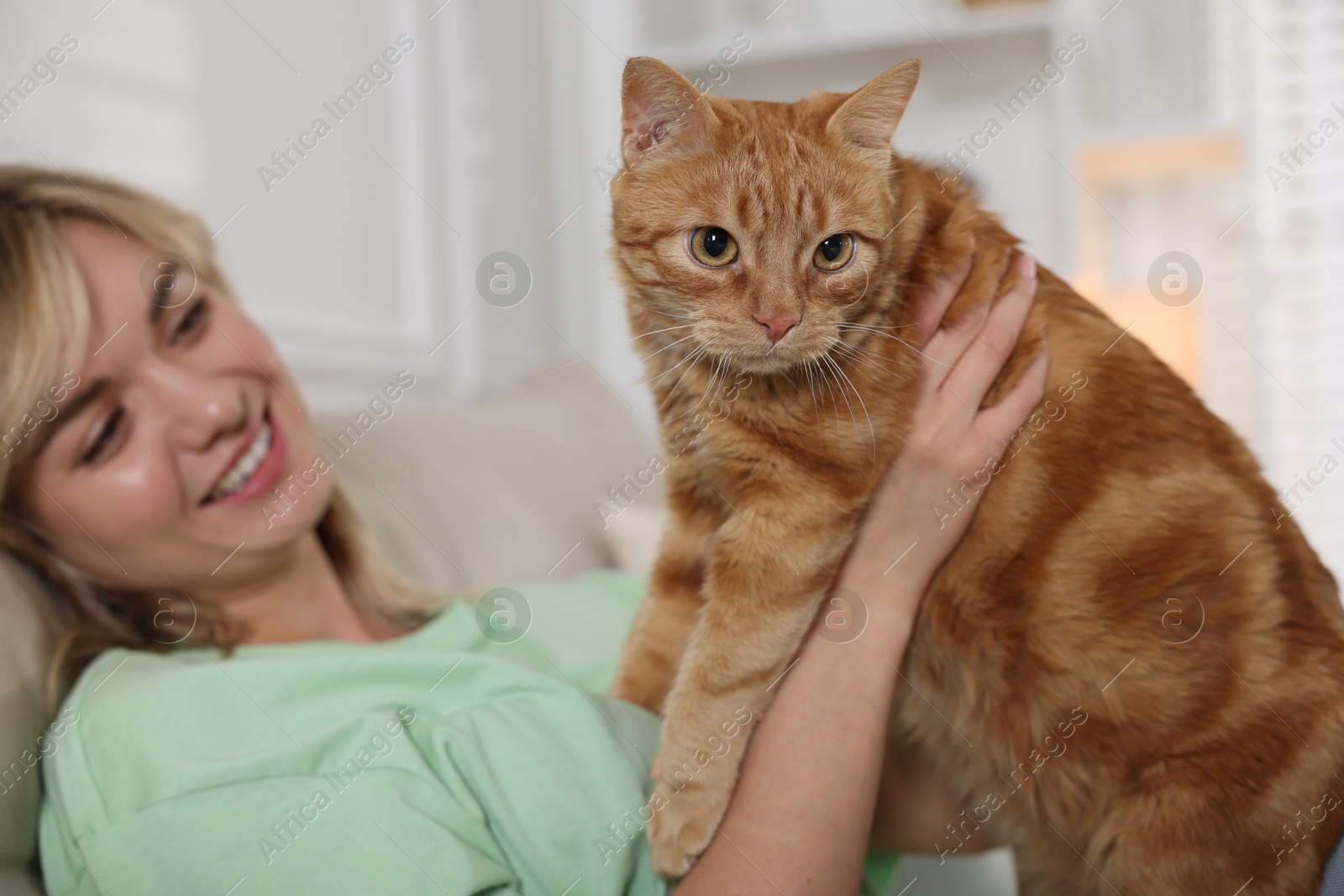 Photo of Woman with her cute ginger cat on sofa at home, selective focus