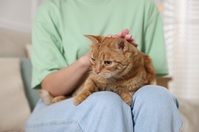 Photo of Woman with her cute ginger cat at home, closeup