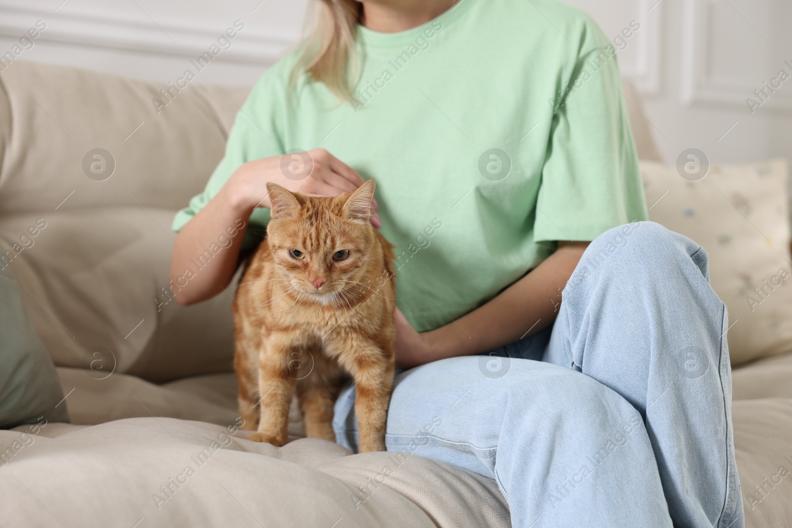 Photo of Woman with her cute ginger cat on sofa at home, closeup