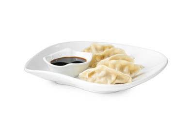 Photo of Tasty gyoza (dumplings) and soy sauce isolated on white