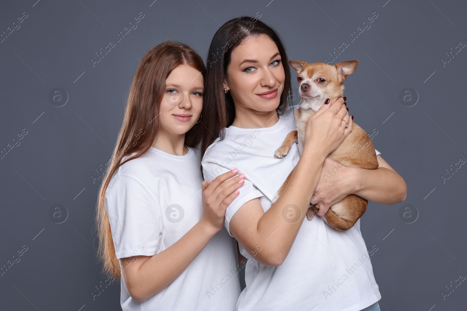 Photo of Family portrait of beautiful mother with teenage daughter and cute Chihuahua dog on grey background