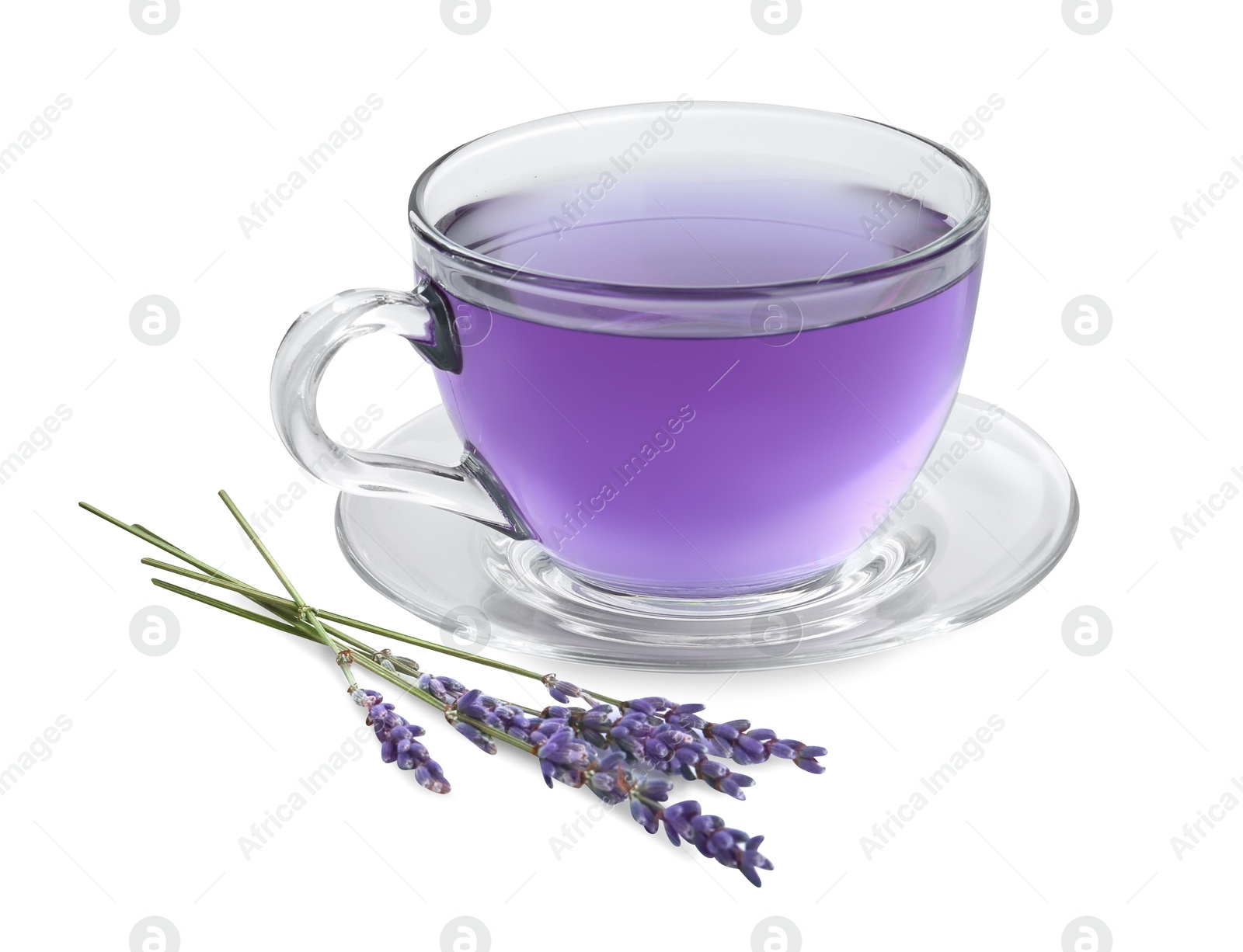 Photo of Aromatic lavender tea in glass cup and dry flowers isolated on white