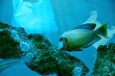 Image of Environmental pollution. Ocean water with marine life and plastic garbage