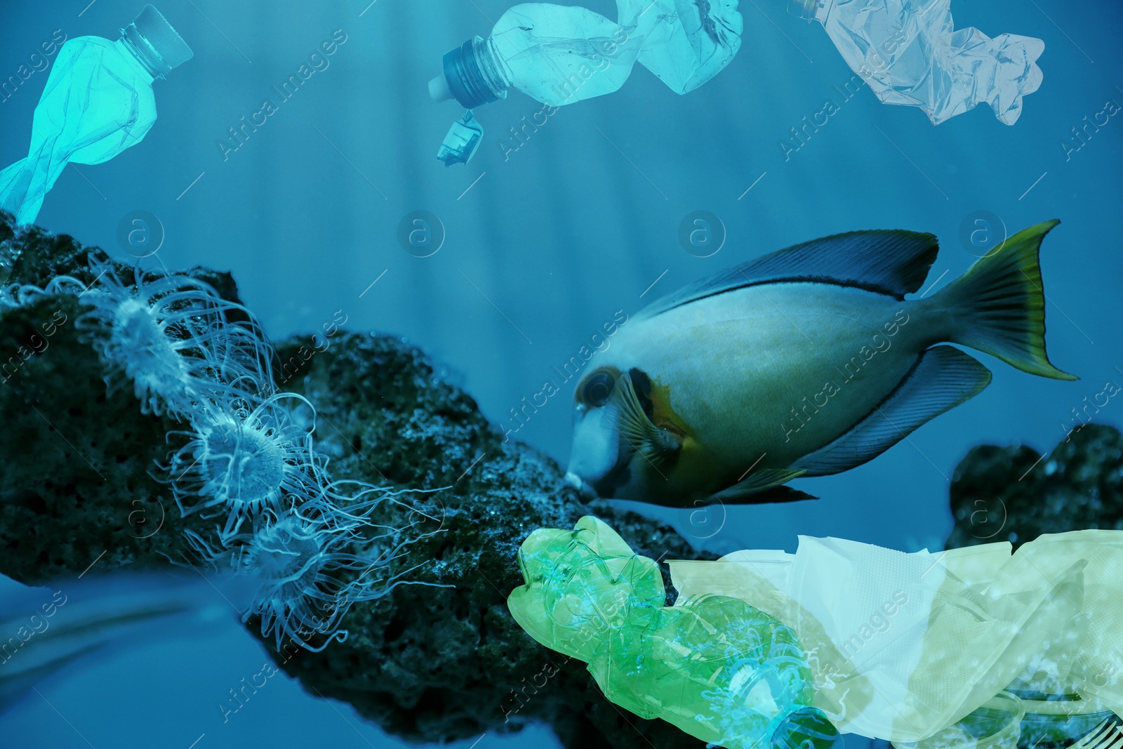 Image of Environmental pollution. Ocean water with marine life and plastic garbage