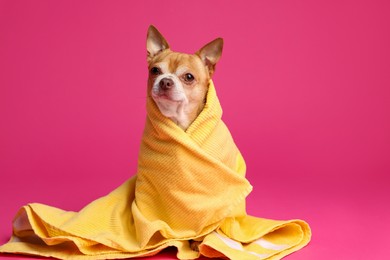 Photo of Cute funny dog wrapped in towel on pink background