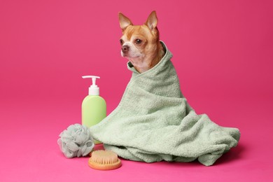 Photo of Cute funny dog wrapped in towel and different accessories for bathing on pink background