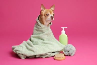 Photo of Cute funny dog wrapped in towel and different accessories for bathing on pink background