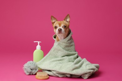 Photo of Cute funny dog wrapped in towel and different accessories for bathing on pink background