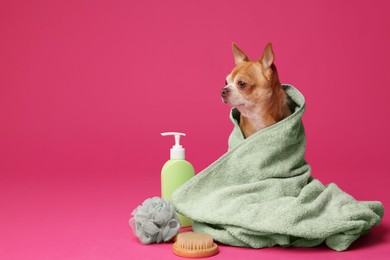 Photo of Cute funny dog wrapped in towel and different accessories for bathing on pink background