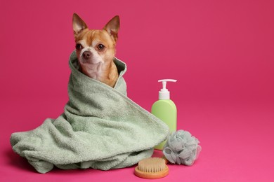 Photo of Cute funny dog wrapped in towel and different accessories for bathing on pink background