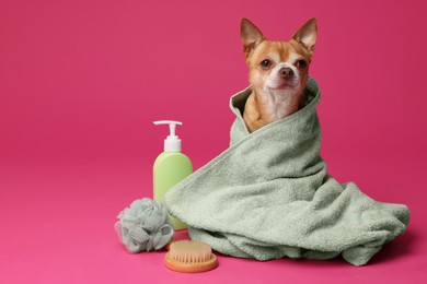 Photo of Cute funny dog wrapped in towel and different accessories for bathing on pink background