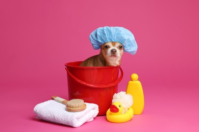 Photo of Cute funny dog with shower cap and different accessories for bathing on pink background