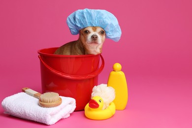 Photo of Cute funny dog with shower cap and different accessories for bathing on pink background. Space for text