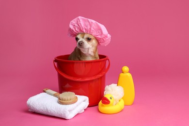 Photo of Cute funny dog with shower cap and different accessories for bathing on pink background