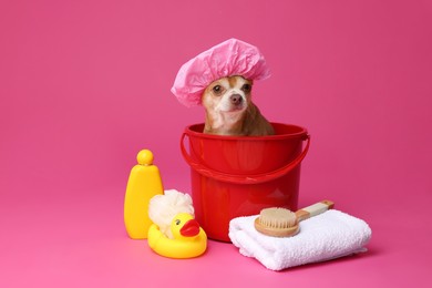 Photo of Cute funny dog with shower cap and different accessories for bathing on pink background