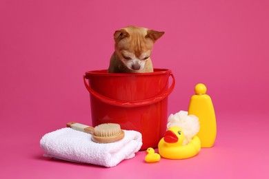 Photo of Cute funny dog in plastic bucket with different accessories for bathing on pink background