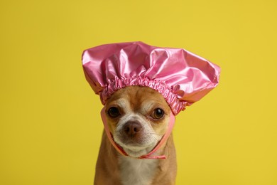 Photo of Cute funny dog in pink shower cap on yellow background