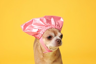 Photo of Cute funny dog in pink shower cap on yellow background