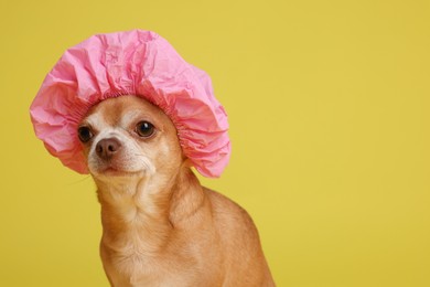 Photo of Cute funny dog in pink shower cap on yellow background. Space for text