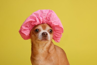 Photo of Cute funny dog in pink shower cap on yellow background