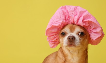 Photo of Cute funny dog in pink shower cap on yellow background. Space for text