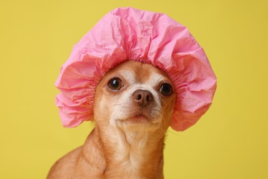 Photo of Cute funny dog in pink shower cap on yellow background, closeup