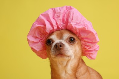 Photo of Cute funny dog in pink shower cap on yellow background, closeup