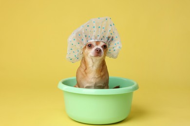 Photo of Cute funny dog with shower cap in basin on yellow background