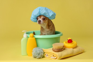 Photo of Cute funny dog with shower cap and different accessories for bathing on yellow background