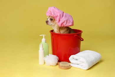 Photo of Cute funny dog with shower cap and different accessories for bathing on yellow background