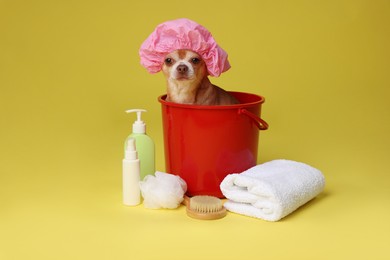 Photo of Cute funny dog with shower cap and different accessories for bathing on yellow background