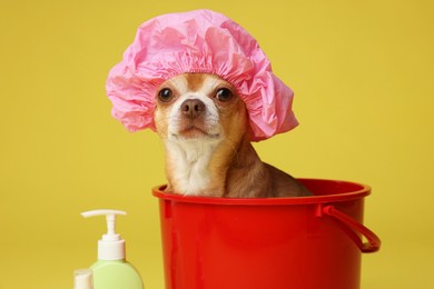 Photo of Cute funny dog with shower cap in plastic bucket on yellow background