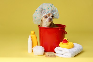 Photo of Cute funny dog with shower cap and different accessories for bathing on yellow background