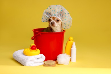 Photo of Cute funny dog with shower cap and different accessories for bathing on yellow background