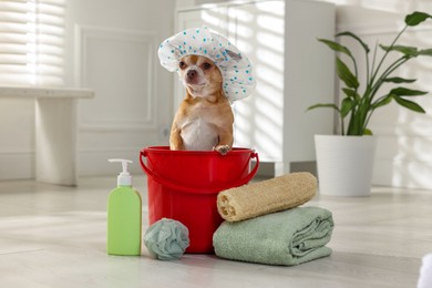 Photo of Cute funny dog with shower cap and different accessories for bathing at home